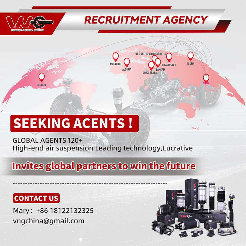 A222 320 4713 VNG Air Suspension for Mercedes-Benz S-Class W222 Front Left with ADS 2013-20216
