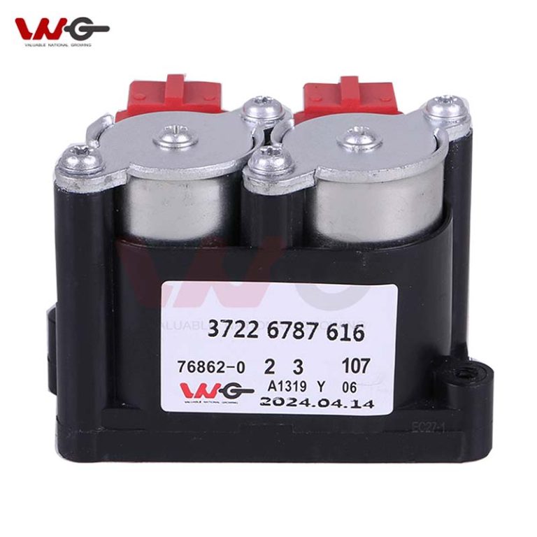 37226787617 Air Suspension Compressor For BMW X5 E53 2000-2006