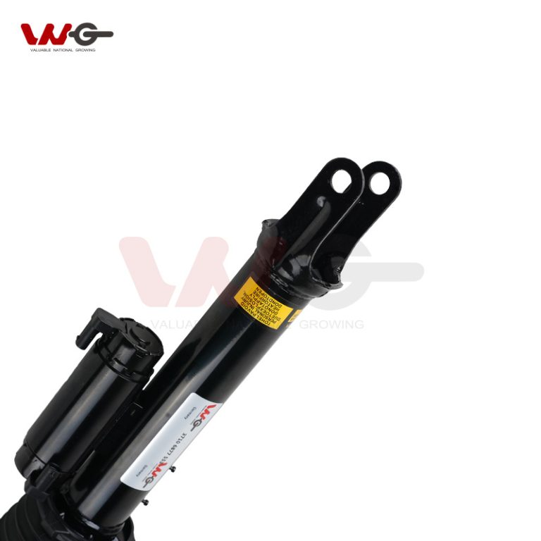 Air suspension for BMW 7 Series G11 G12 Front Right with ADS 2016 (14)