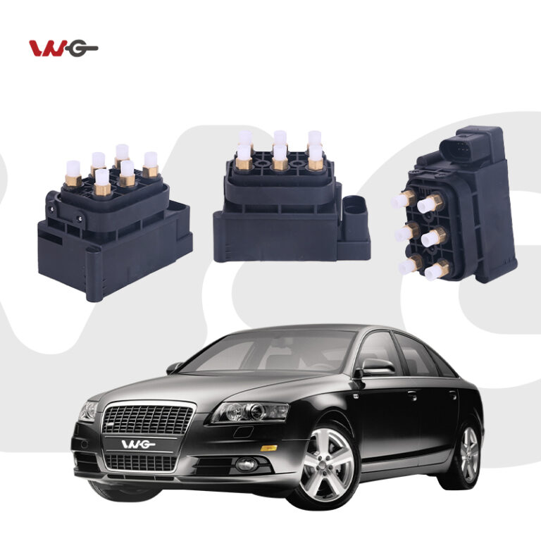 Air Compressor Valve Block for Audi A6 C6 A8 D3
