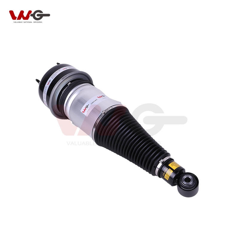 Full vehicle air suspension strut unit product shot