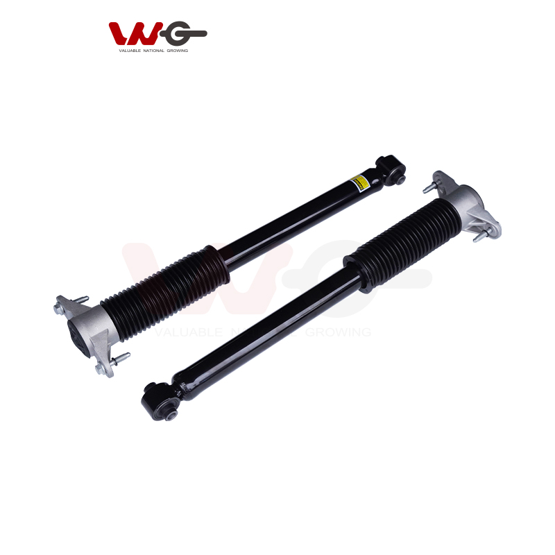 tesla-air-suspension-rear-units